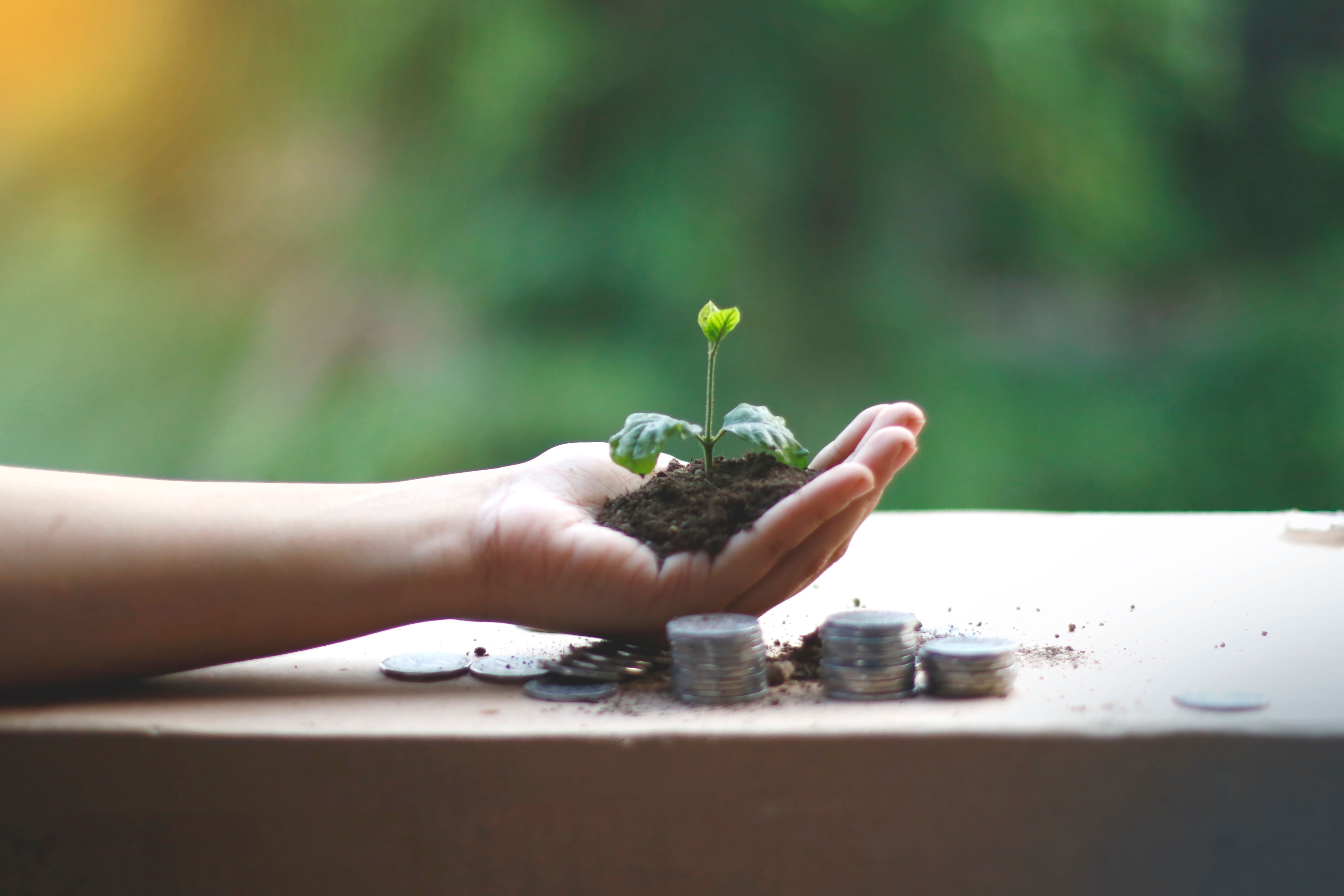 Resource Stewardship